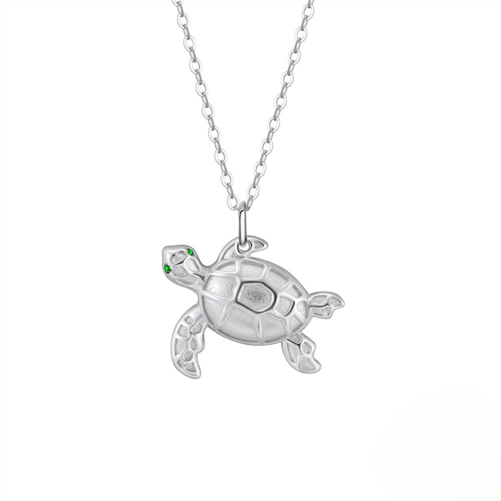Sea Silver Turtle Sea