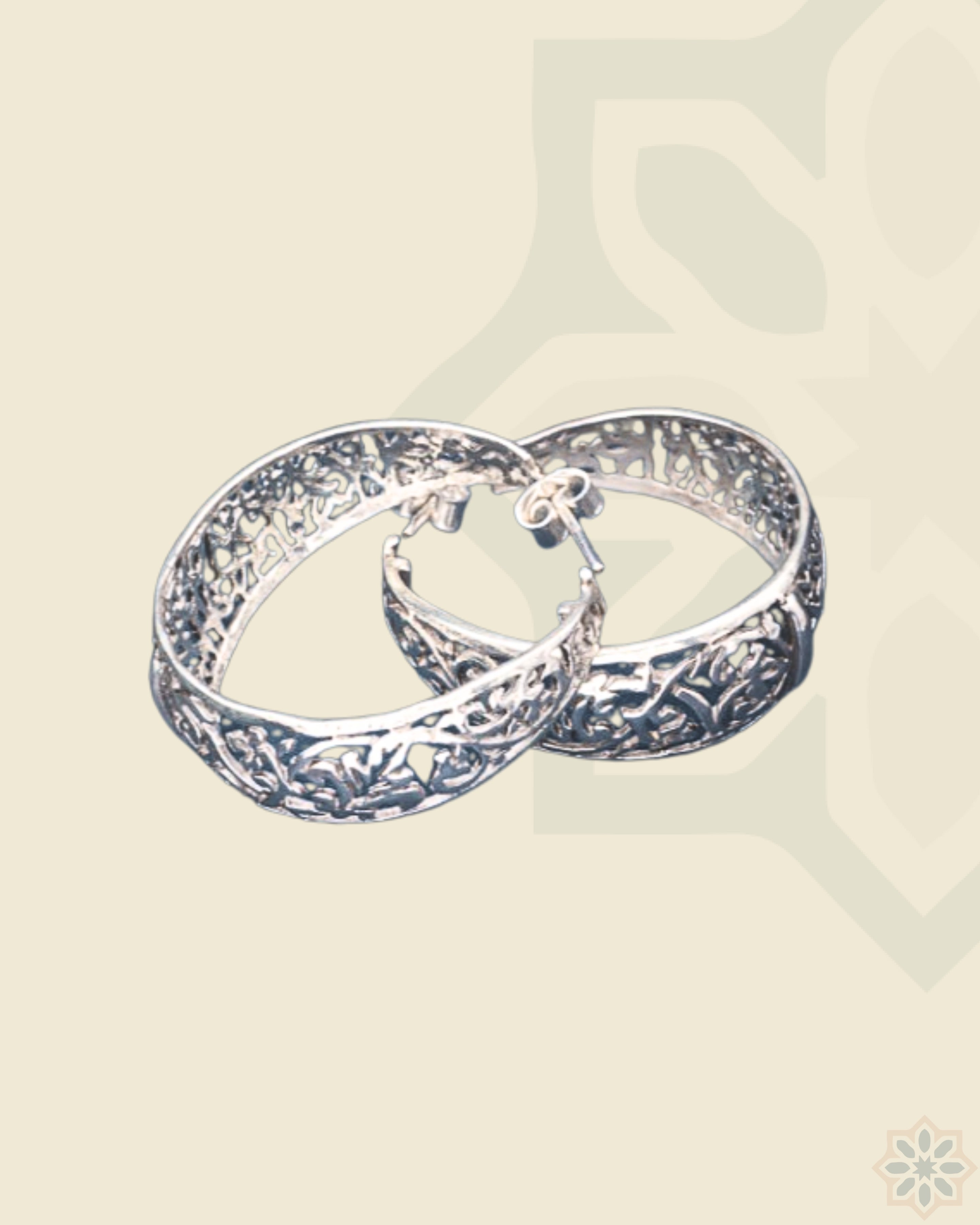 Big Adorned Crescent Earrings