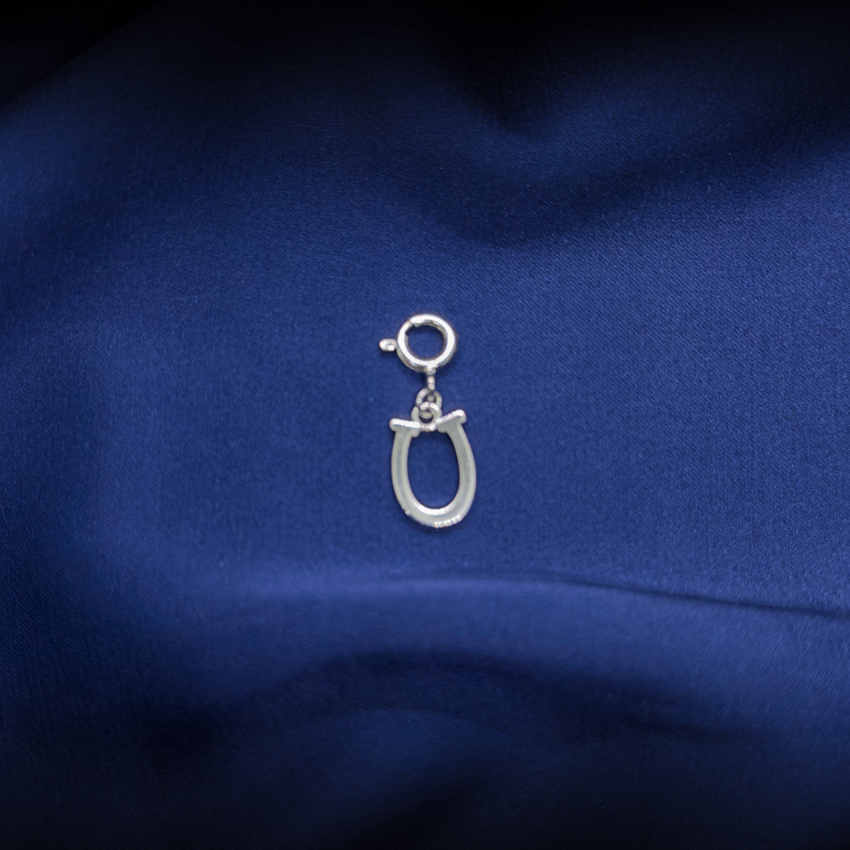 Lucky Horseshoe Charm