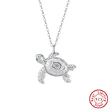 Sea Silver Turtle Sea