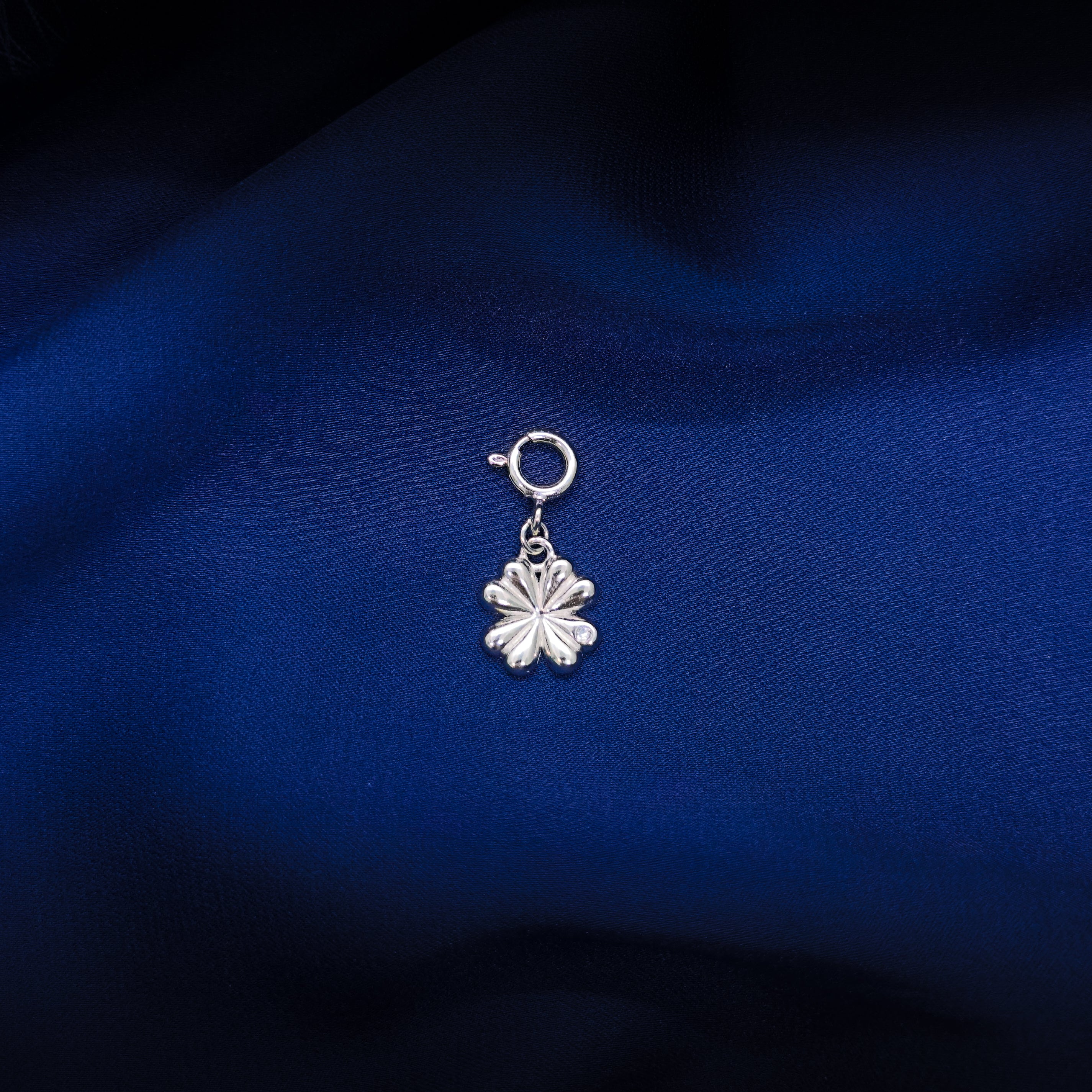 Luck Charm